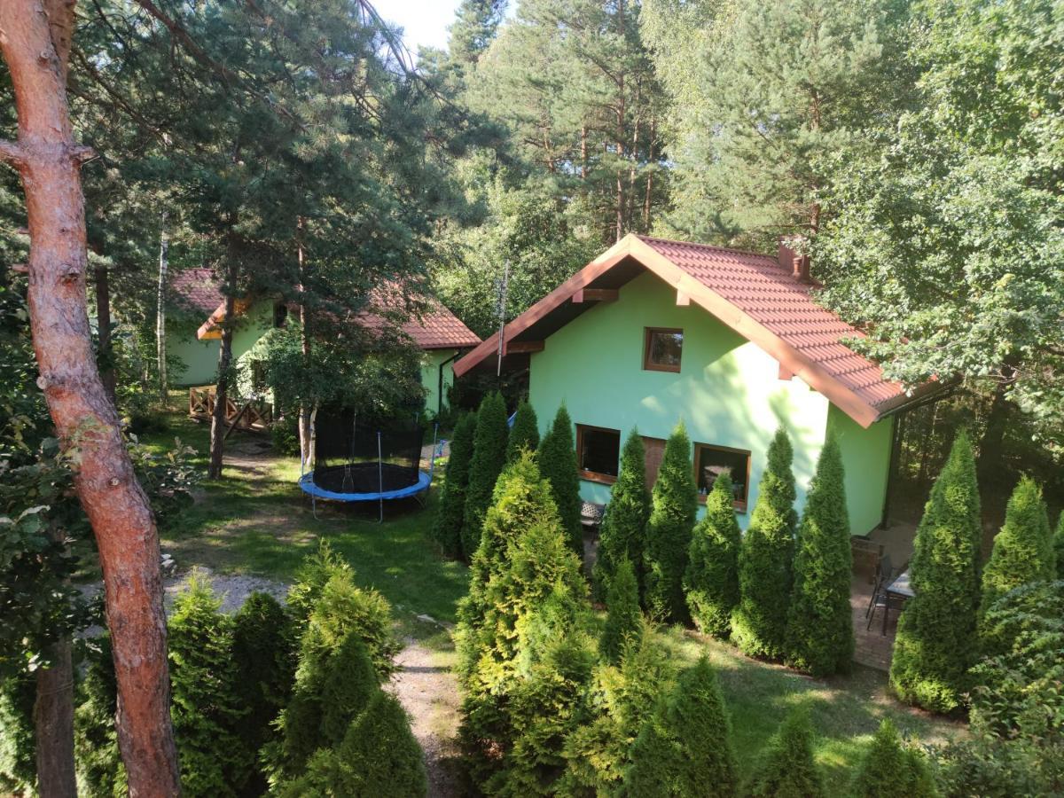 Niezapominajka-Jura Villa Niegowa Exterior foto